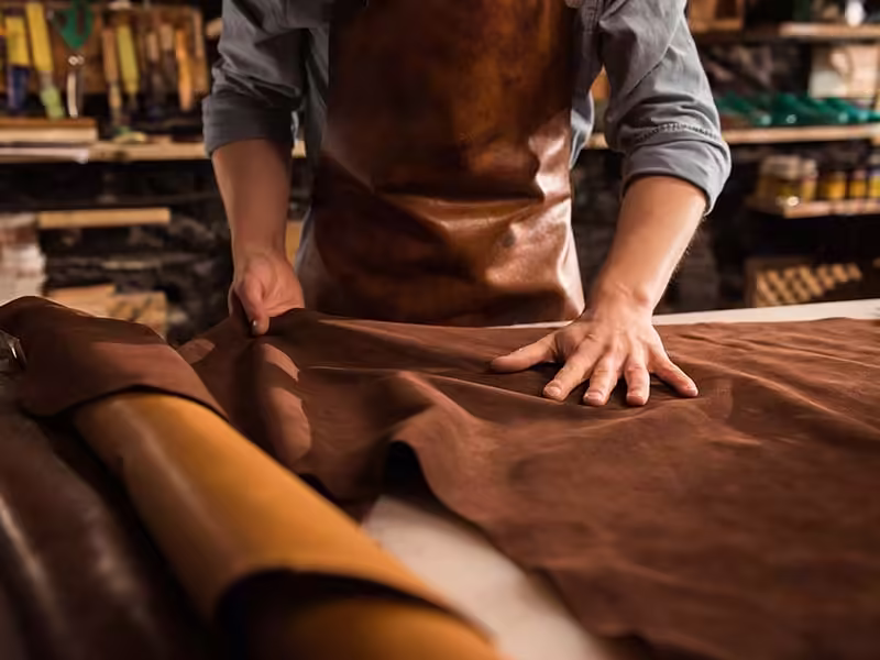 Clothing Leather